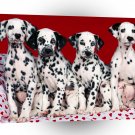 Valentines Day Puppy Love A1 Xlarge Canvas