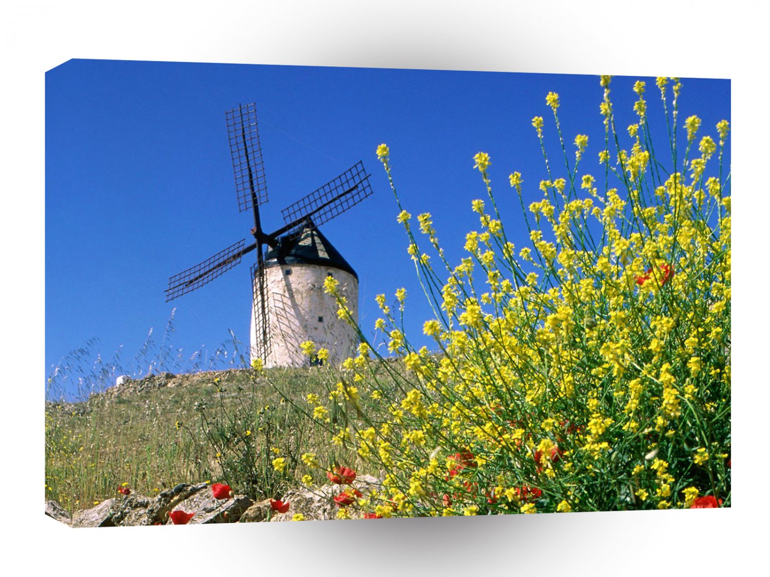 Windmills Consuegra Spain A1 Xlarge Canvas