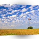 Windmills Country Field Illinois A1 Xlarge Canvas