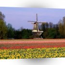 Windmills Keukenhof Gardens Lisse The Netherlands A1 Xlarge Canvas