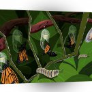 World Easter Cocoon A1 Xlarge Canvas