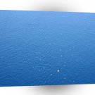 World Greece Sea Day Seagulls A1 Xlarge Canvas