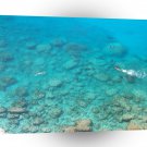 World Greece Sea Day Snorchling Corals A1 Xlarge Canvas