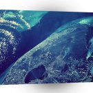 World Space Coast Satellite Imagery Earth Coastline City Houses A1 Xlarge Canvas