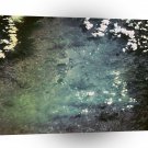 World Space Mountains Roads Satellite Imagery Big City Life A1 Xlarge Canvas