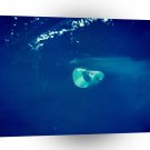 World Space Sea Satellite Imagery Lost Island Clear Water A1 Xlarge Canvas
