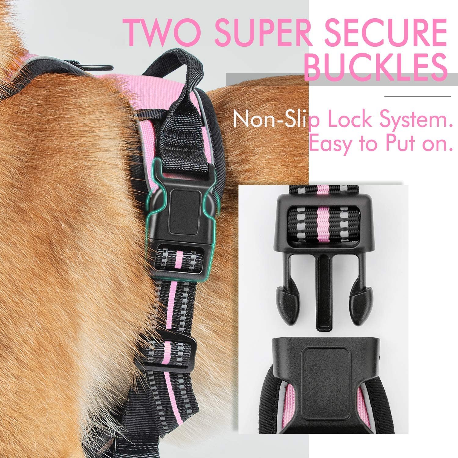 rabbitgoo Dog Harness, NoPull Pet Harness with 2 Leash Clips