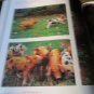 Extraordinary Pigs, Hard Cover