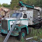 1970 DIAMOND RIO C10164 CRANE TRUCK