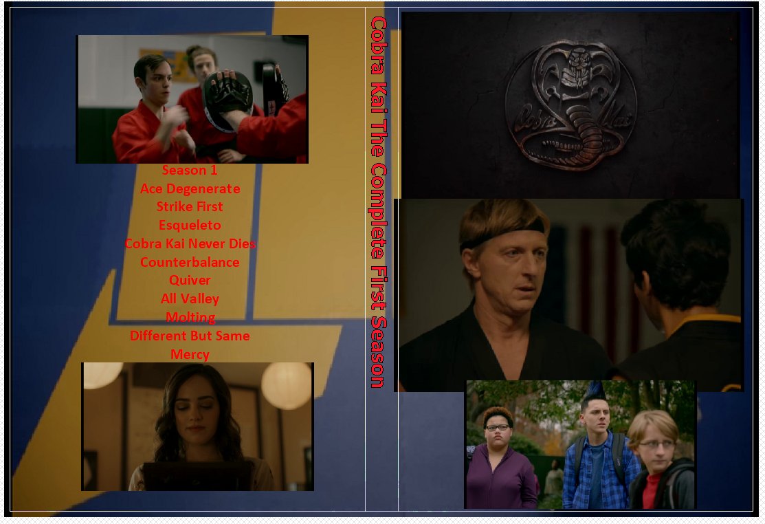Cobra Kai The Complete First Season on 2 DVDs