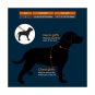 Petacc Dog Harness No-Pull Pet Harness Adjustable Outdoor Pet Reflective Vest...