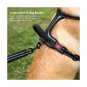 Petacc Dog Harness No-Pull Pet Harness Adjustable Outdoor Pet Reflective Vest...