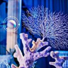 1Pc Plastic Artificial Peacock Coral Branch Home Decoration Fake Plant DIY TrOS