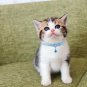 Adjustable Pet Collar Cat Paw Print Adjustable Bell Dog Kitten Puppy Nylon S-XL