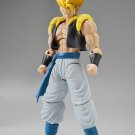 SDCC 2019 Exclusive BlueFin Figure-rise Standard Super Saiyan Gogeta