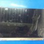 15.6"LCD Screen Display B156HTN05.1 FHD edp 30pin 120HZ FOR DELL DP/N:0HPJGK