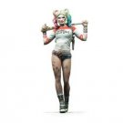 1/24 75 mm Resin Figure Kit Model Female Clown Unpainted Unassembled