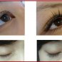 FEG MAXI Eyelash Enhancer Serum Mascara Rapid Eye Lashes Growth Treatment 6ml