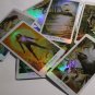 Advanced SHINE Nature Tarot Cards Holographic mysterious animals divination fate tarot cards game