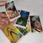 Advanced SHINE Nature Tarot Cards Holographic mysterious animals divination fate tarot cards game