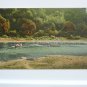 Canoeing Callicoon NY Divided Back Postcard  Posted 1910