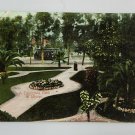 A Califoinia Park in Winter  Divided Back Postcard Posted 1907