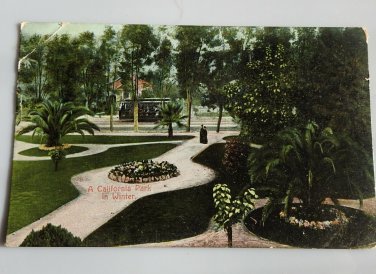 A Califoinia Park in Winter  Divided Back Postcard Posted 1907