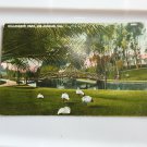 Hollenbeck Park Los Angeles CA  Divided Back Postcard Not Posted