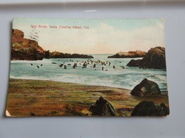 Seal Rocks Santa Catalina CA Divided Back Postcard  Posted 1907