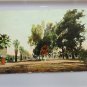 Magnolia Ave 8 Miles Long Riverside CA Divided Back Postcard Not Posted
