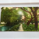 Pepper Walk Anchorage Grounds Riverside CA  Divided Back Postcard  Posted 19??