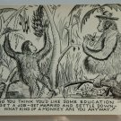 What Kind of Monkey are you? Comic Chrome Postcard 1950 What Kind of Monkey are you? Comic Chrome Postcard 1950