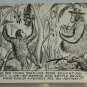 What Kind of Monkey are you? Comic Chrome Postcard 1950