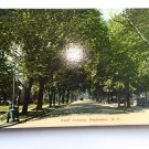 East Ave Rochester NY  Divided Back Postcard Posted 1913