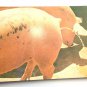 COMIC Pig Peeing 3x5 Chrome Not Posted