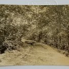 Stroller Lane Babcock WI Divided Back RPPC  Posted 1918