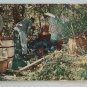 Moonshine Still in the Great Smoky Mountains  Linen Postcard  noit Posted