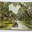 Orange Avenue Daytona Beach FL Divided Back Postcard Horse and Buggy Orange Avenue Daytona Beach FL Divided Back Postcard Horse and Buggy