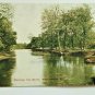 Viewing the River Wayauega WI Divided Back postcard Posted 1910