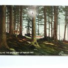 Naples ME The Grove Bay Naples Inn Divided Back Postcard  Posted 1911`