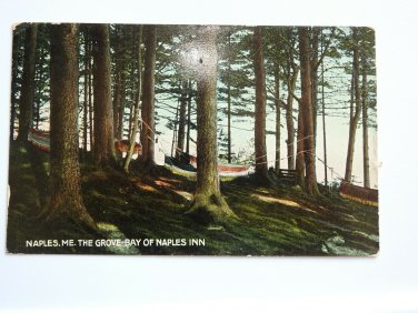 Naples ME The Grove Bay Naples Inn Divided Back Postcard  Posted 1911`