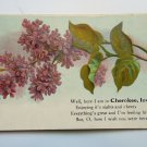 Here I am in Cherokee IA Divided Back Postcard Posted 1909