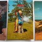 Lot of 4 Native American Chiefs in Full Dress Vintage Chrome Postcards