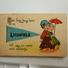 I am very busy here in  Litchfield MN  Divided Back Postcard Posted 1915
