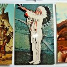 Lot of 3 Native Americans in Full Dress Vintage Chrome Postcards Not Posted Lot of 3 Native Americans in Full Dress Vintage Chrome Postcards Not Posted