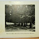 Beneath the Pines Santa Clara College Sinsinawa  WI Divided Back Postcard