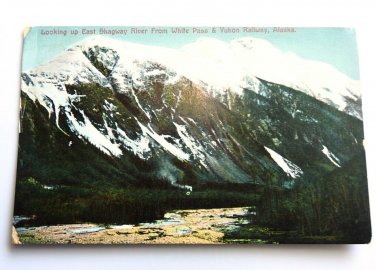 Looking East Skagway River WP&Y RR AK Divided Back Postcard Posted 1910