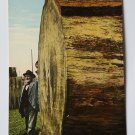 Two Washington Venerables Large Cut Tree with man Divided Back Postcard Two Washington Venerables Large Cut Tree with man Divided Back Postcard