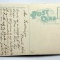 Two Washington Venerables Large Cut Tree with man Divided Back Postcard