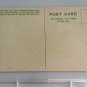Lot of 3 Ivy Leaves Divided Back Postcards Posted 1916 1919 and not posted